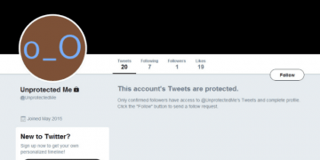 How to View a Private Twitter Account in 2022