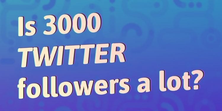 Is 3000 Twitter Followers a Lot?