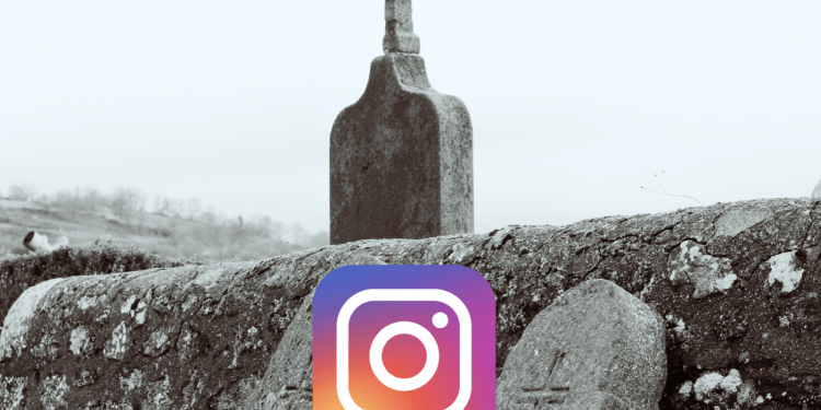 Is Instagram Growing Or Dying?