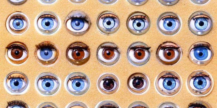 Is There an Instagram Tracker?