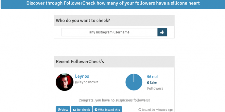 Is it Safe to Buy Instagram Followers? Is it Worth it?