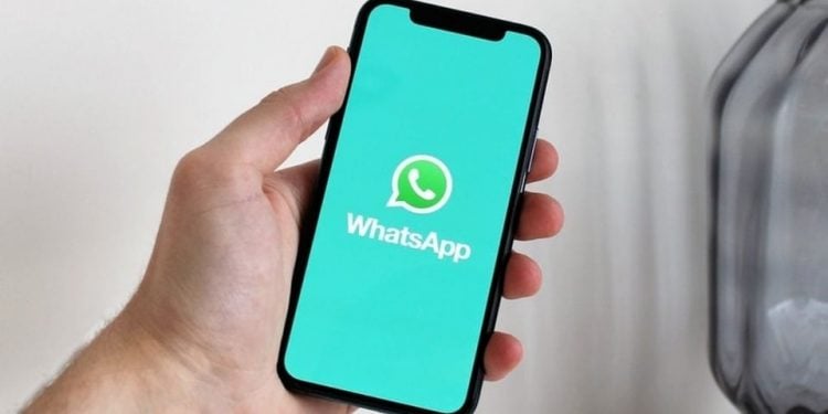 Twitter Will Be Replaced by WhatsApp