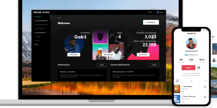 What App Do TikTok Artists Use?