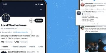 What Are Bot Accounts on Twitter?