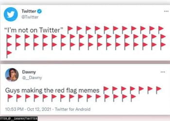 What Are the Flags on Twitter?