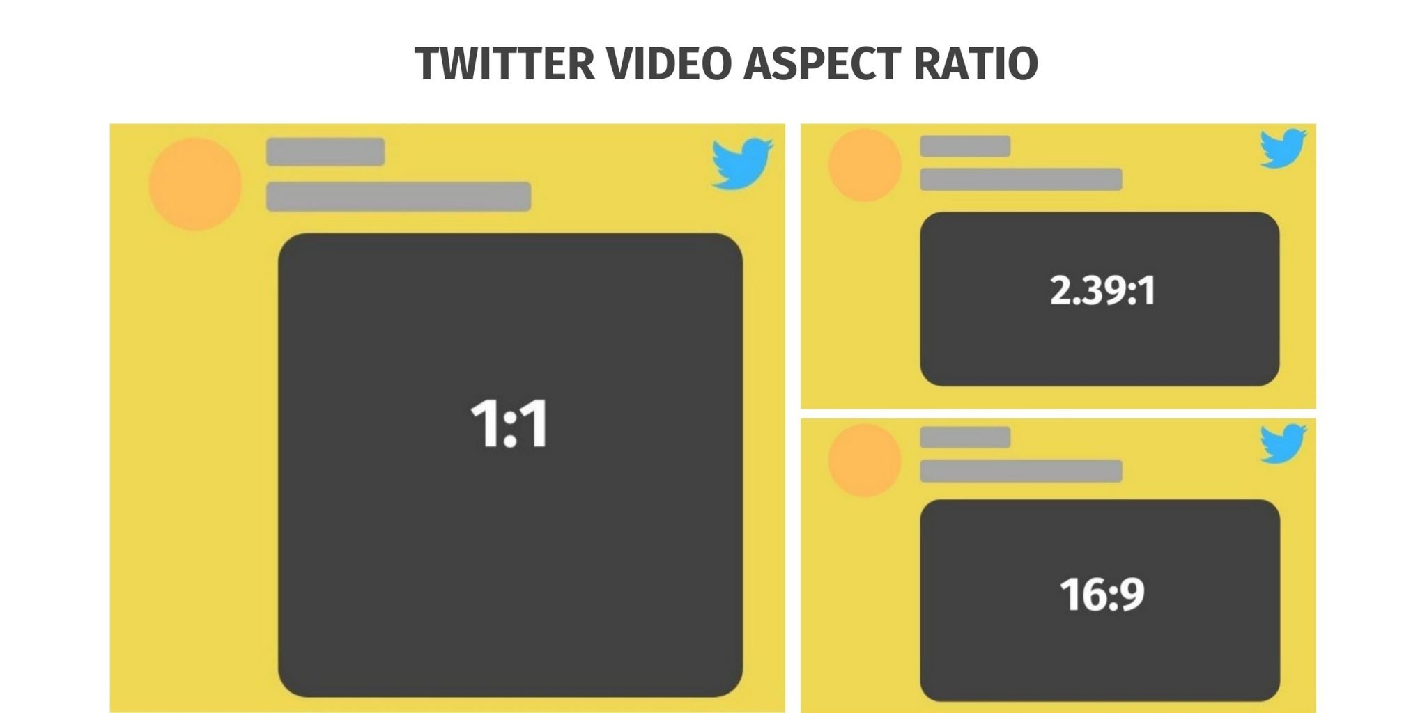 How to See 18+ on Twitter - Zeru