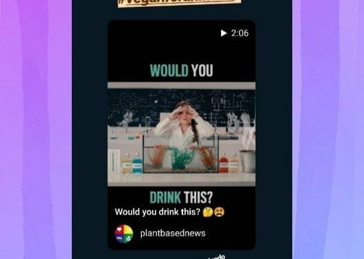 What Do I Write in a Shout on Instagram?