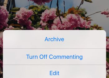 What Does Archive Mean on Instagram?