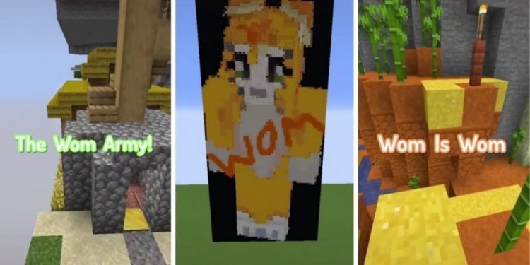 What Does Wom Mean on TikTok?