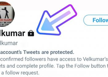 What Does a Private Twitter Account Look Like?