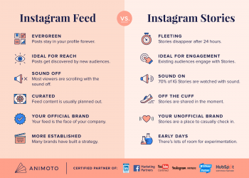What Is Instagram Feed?