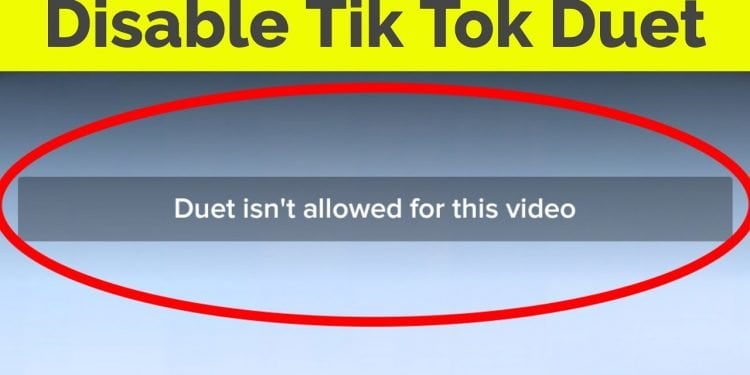 What Videos Are Not Allowed on TikTok?