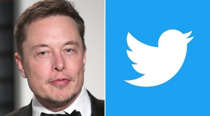 What Will Happen to Twitter Shares After Elon Musk Cancels His $44 Billion Acquisition?