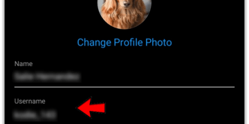What is Instagram Handle?