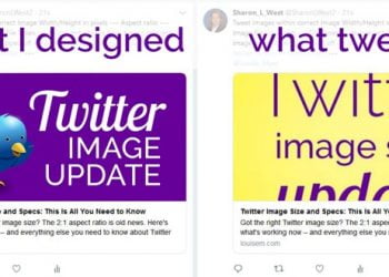 What is No Crop on Twitter? How to Change the Size and Aspect Ratio of Your Profile Picture on Twitter