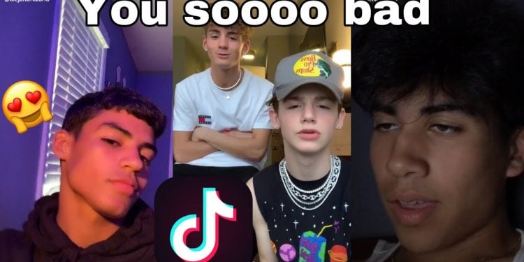 What is So Bad About TikTok?