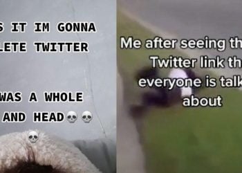 What is Twitter Leg Video?