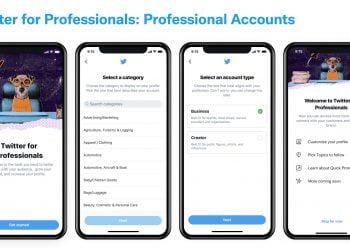 What is Twitter Professional?