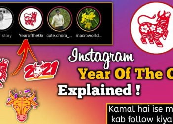 What is Year of the Ox on Instagram?