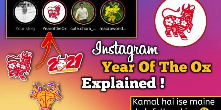 What is Year of the Ox on Instagram?