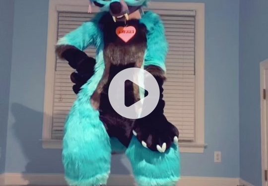What is a Furry TikTok?