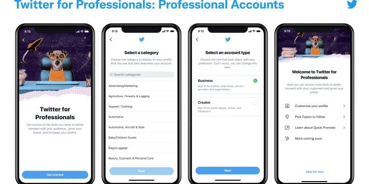 What is a Twitter Professional Account?
