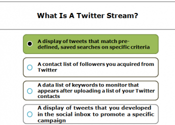 What is a Twitter Stream?