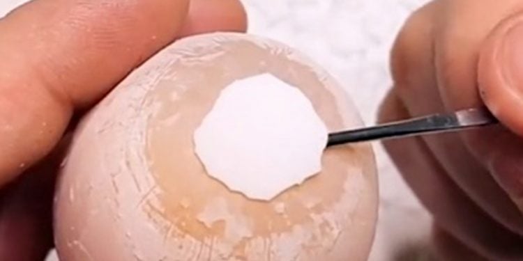 What is the Egg Challenge on TikToK?