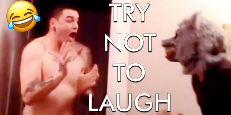 What is the Funniest Video on YouTube?