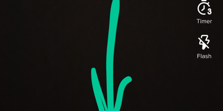 What is the Photo Editing App on TikTok?