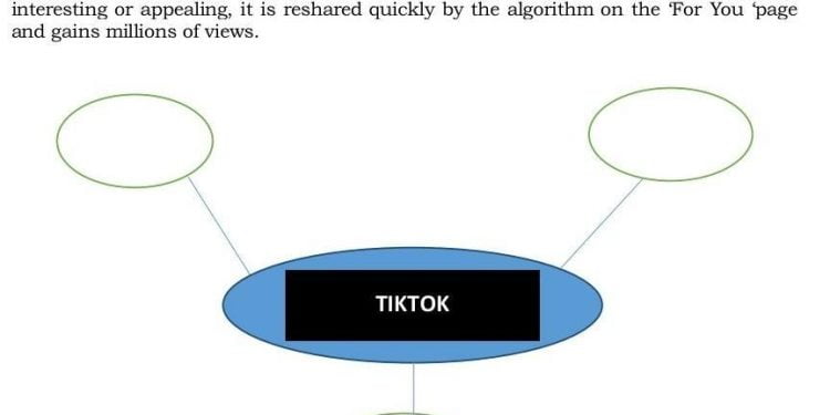 What is the Point of TikTok?