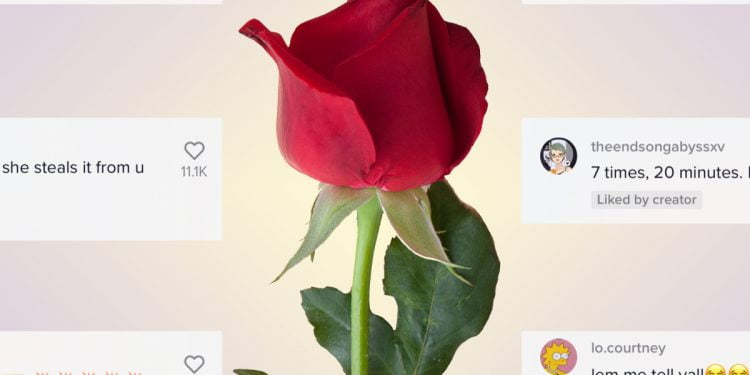 What is the Rose on TikTok? How Do You Get One?
