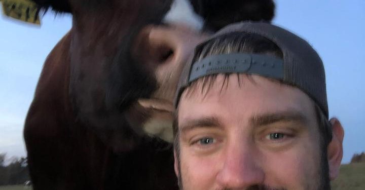 What is the TR on TikTok?