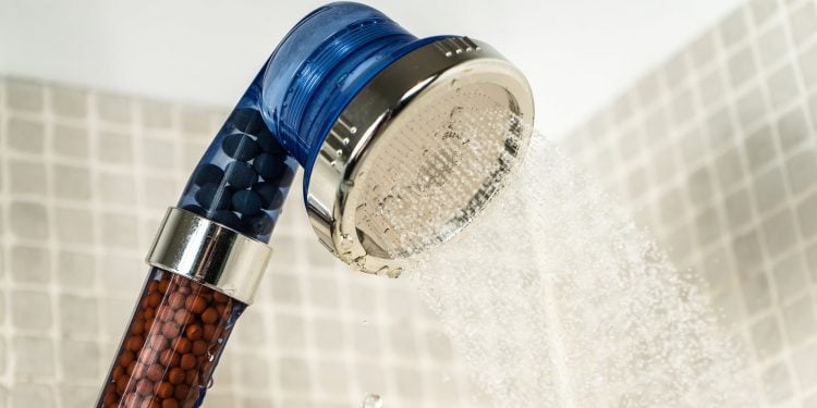What is the TikTok Shower Head Called?
