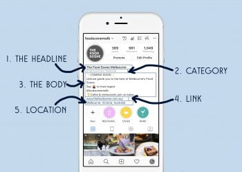 What to Write in Your Instagram Bio