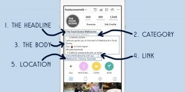 What to Write in Your Instagram Bio
