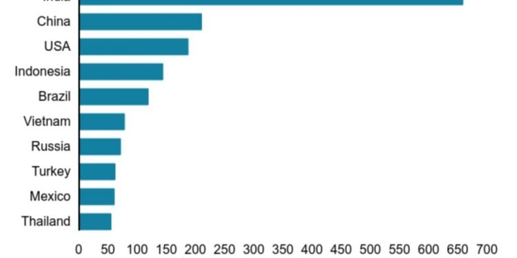 When Did TikTok Become Popular?