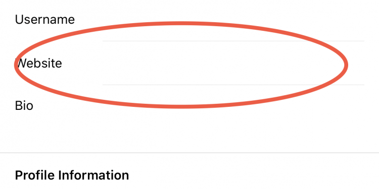 Where Is Bio in Instagram?