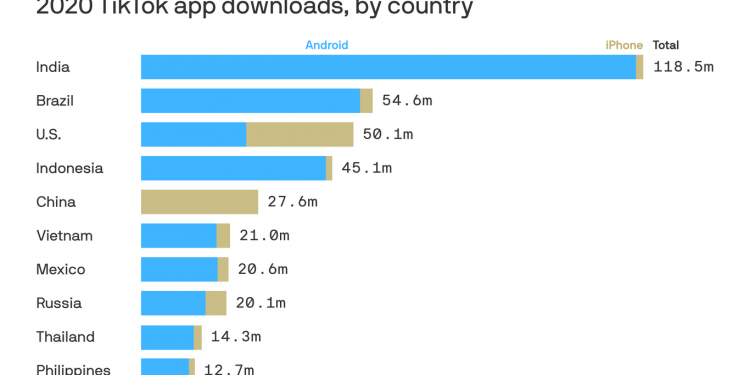 Which Country Banned TikTok?