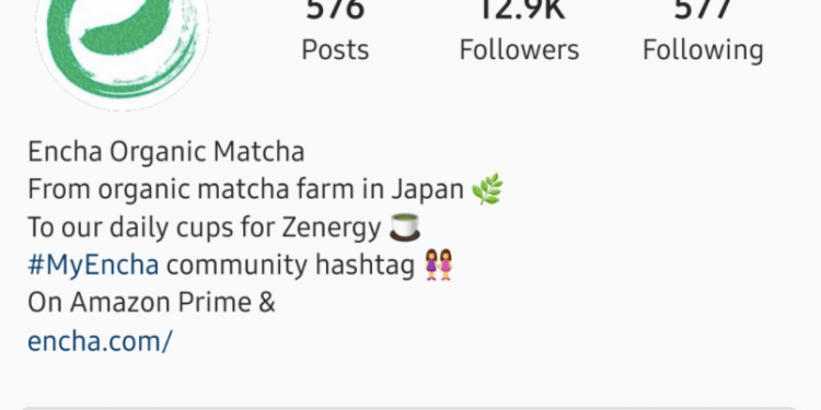 Which Instagram Bio is Best For Your Brand?