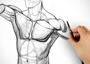 Which YouTube How to Draw Channels Are the Best?
