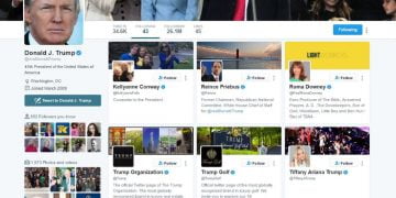 Who Does Donald Trump Follow on Twitter?