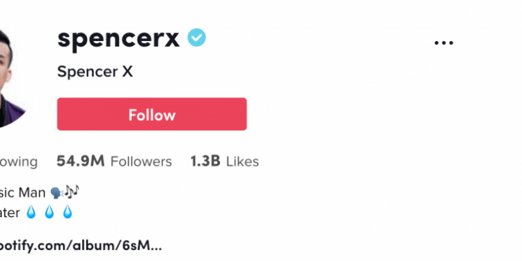 Who Has the Most Followers on TikTok 2022?