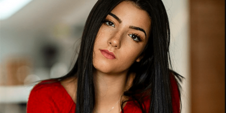 Who is the Most Famous Person in TikTok?