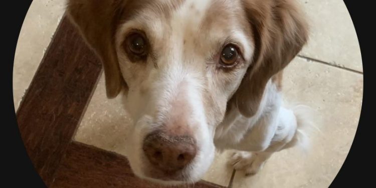 Why Can’t I Change My PFP on TikTok?