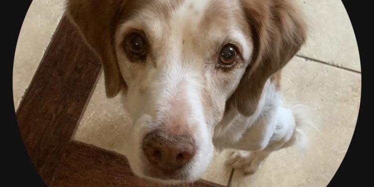 Why Can’t I Change My Profile Pic on TikTok?