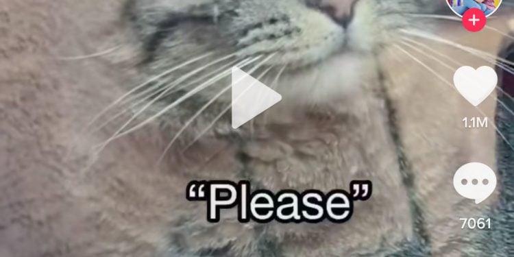 Why Can’t I Fast Forward on TikTok Videos?