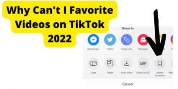 Why Can’t I Favorite Videos on TikTok 2022?