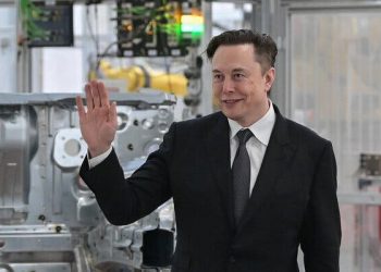 Why Elon Musk Wants Twitter to Crack Down on Spam and Fake Accounts