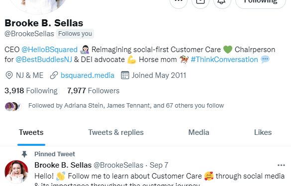 Why Is My Twitter Following Not Growing?